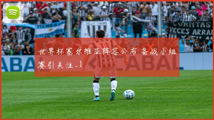 世界杯塞尔维亚阵容公布 备战小组赛引关注_1