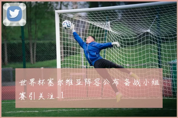 世界杯塞尔维亚阵容公布 备战小组赛引关注_1