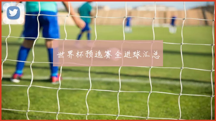 世界杯预选赛全进球汇总