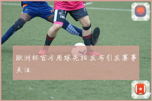欧洲杯官方用球亮相 发布引发赛事关注