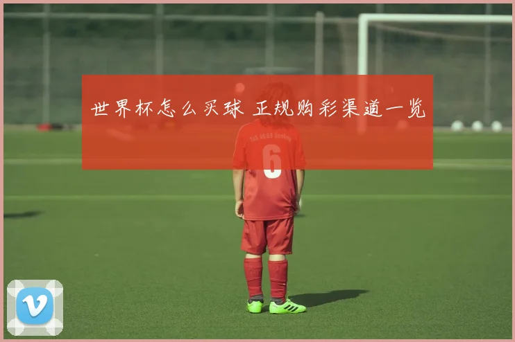 世界杯怎么买球 正规购彩渠道一览
