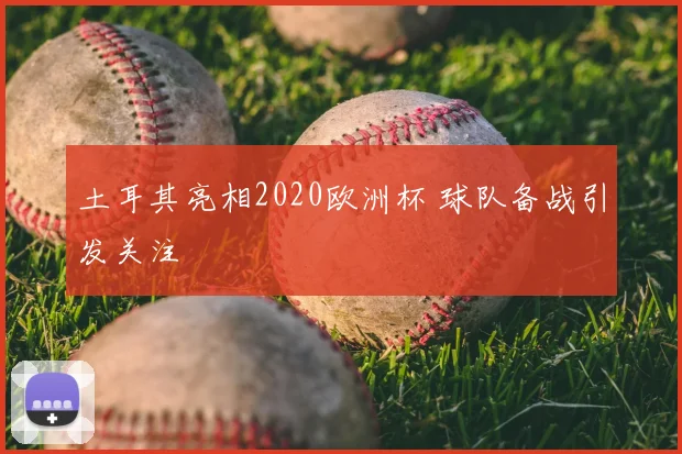 土耳其亮相2020欧洲杯 球队备战引发关注